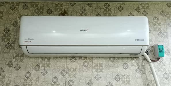Orient Ac Mega 18 G Pearl White