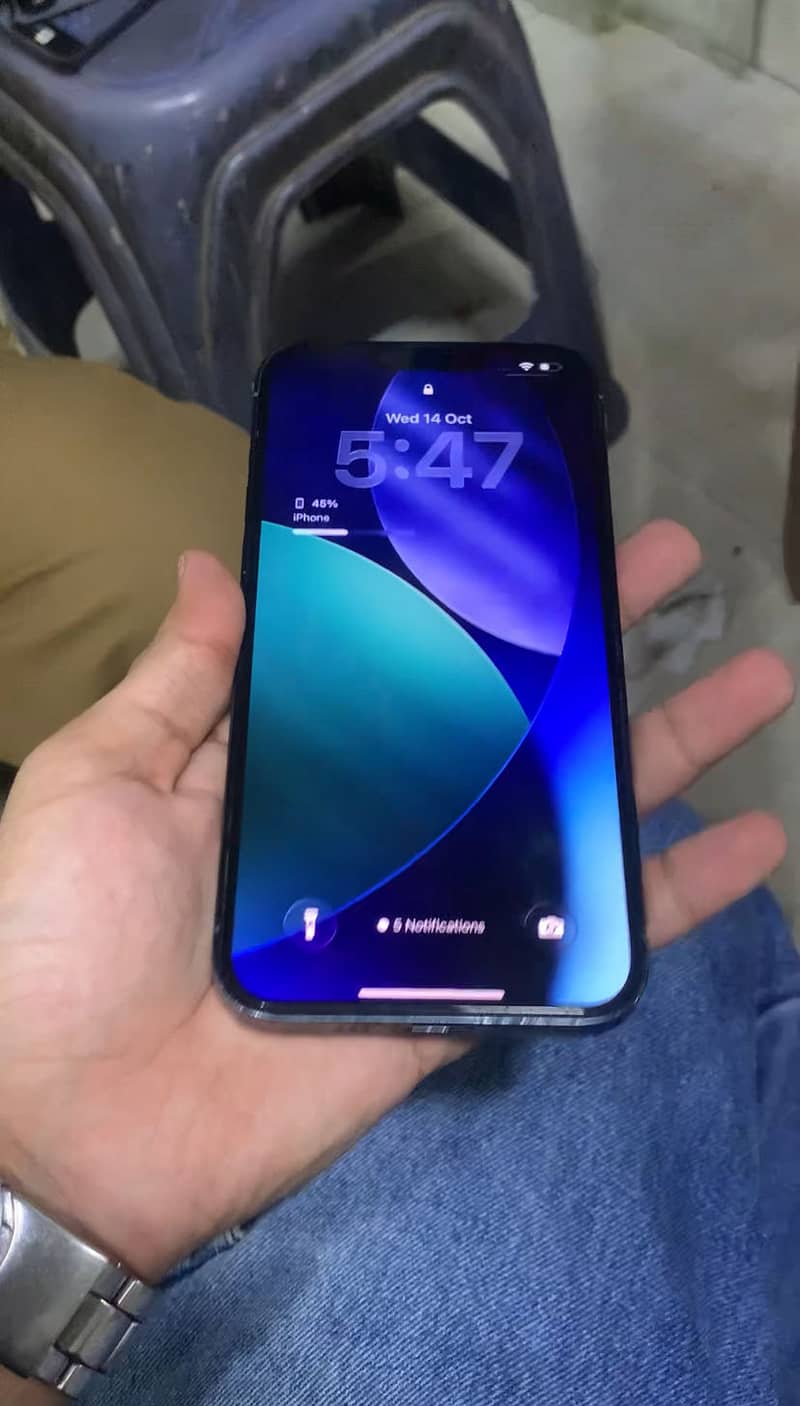Apple iPhone 13 Pro Max 1