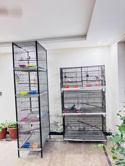 cages for sale