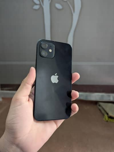 Apple iPhone 12 non pat ha sim working mein hai