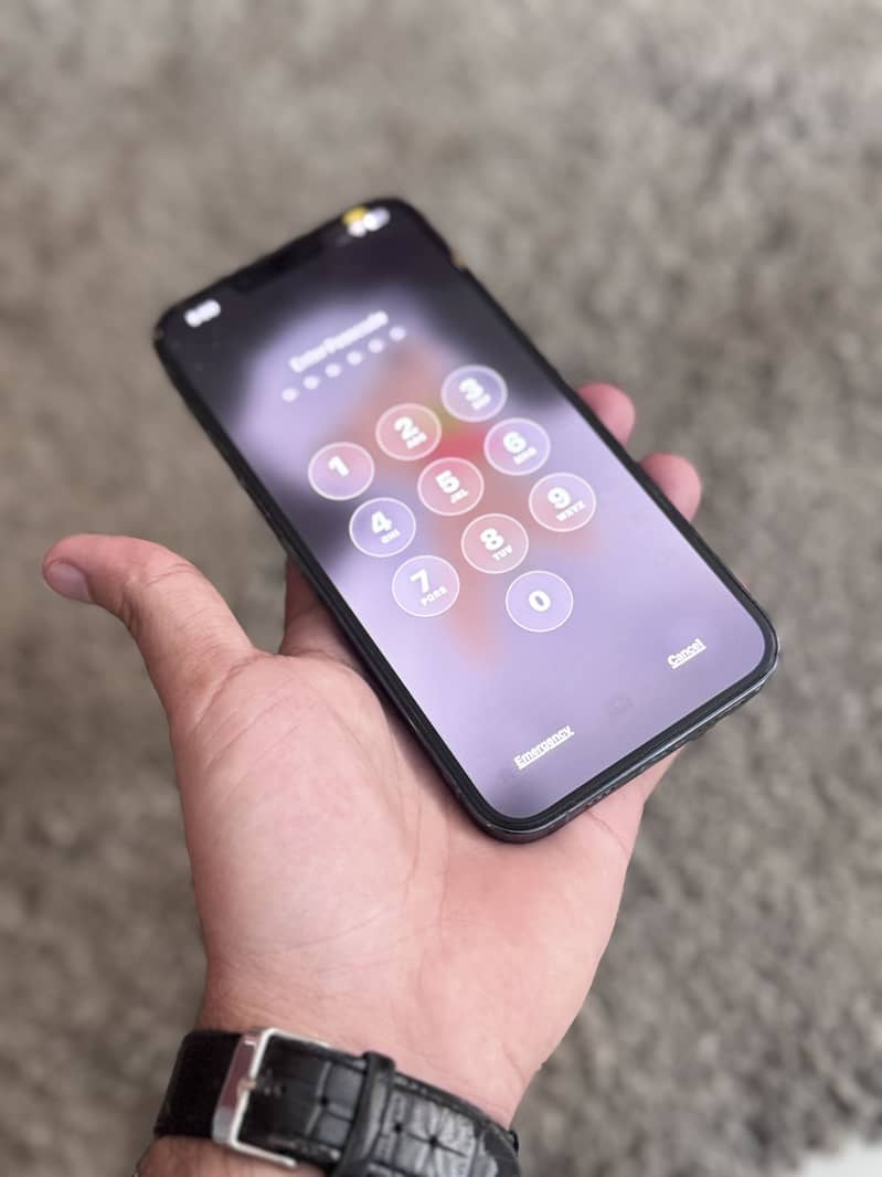 Apple iPhone 13 Pro Max 1
