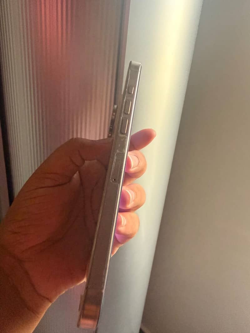 Apple iPhone 16 Pro Max 1