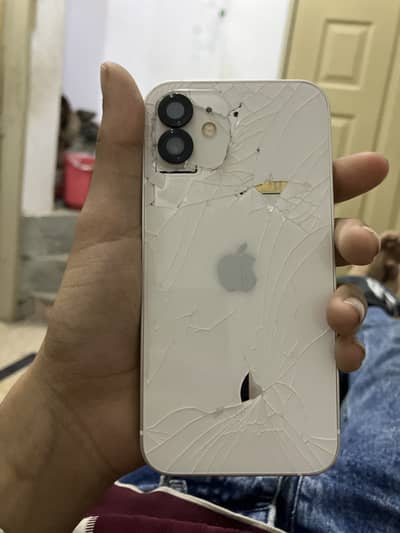 iPhone 12