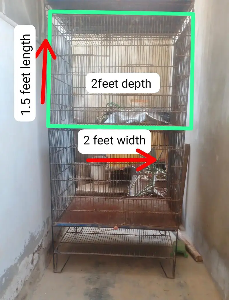Double Story / 2 Portions cage for sale