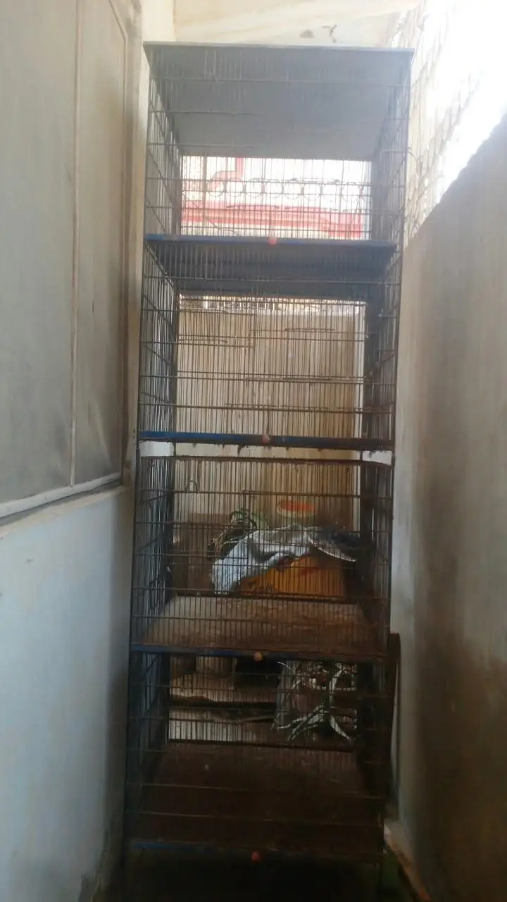 Double Story / 2 Portions cage for sale — photo 2