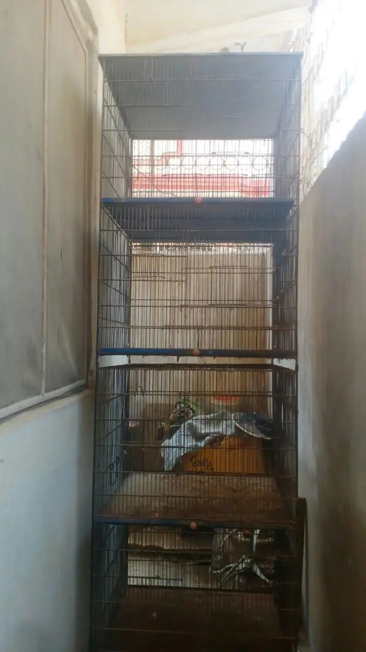 Double Story / 2 Portions cage for sale — photo 3