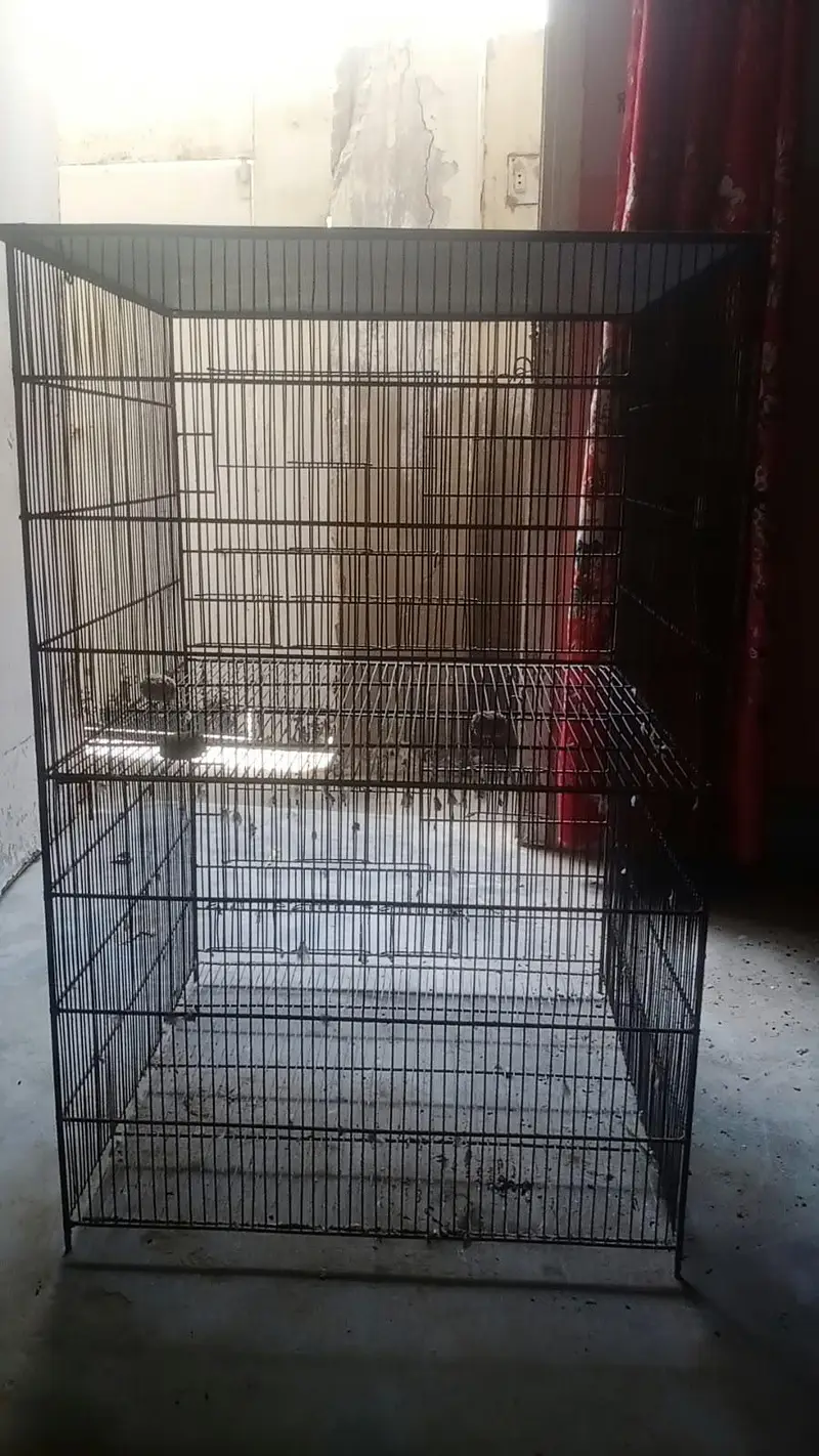 Double Story / 2 Portions cage for sale — photo 4