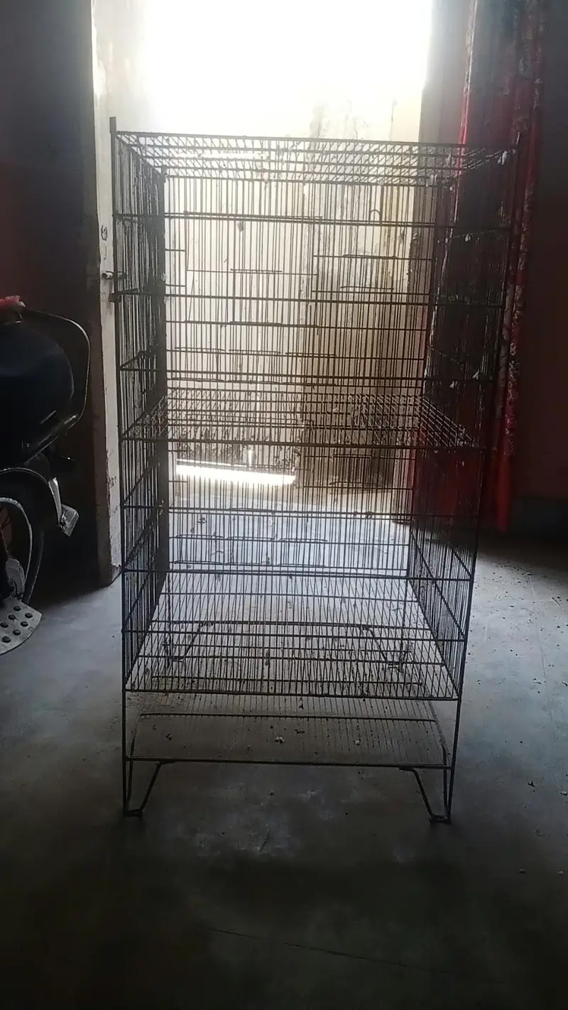 Double Story / 2 Portions cage for sale — photo 5