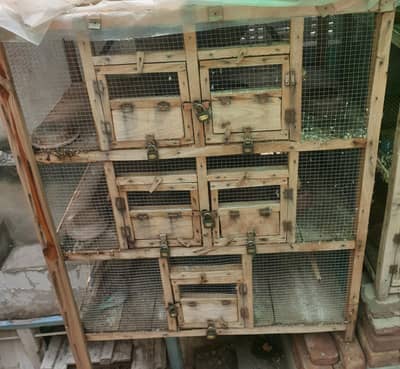 cage for sale