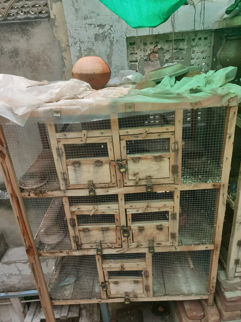 cage for sale — photo 3
