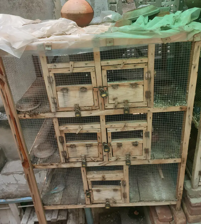 cage for sale — photo 4