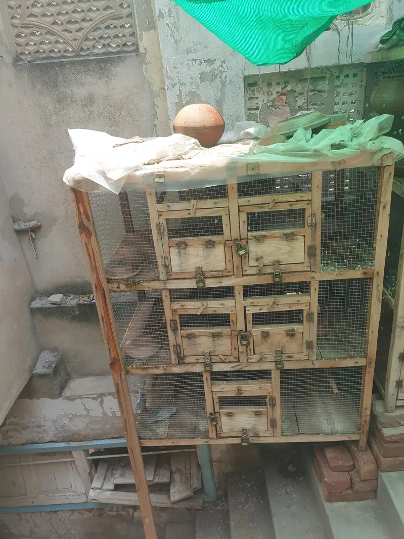 cage for sale — photo 5