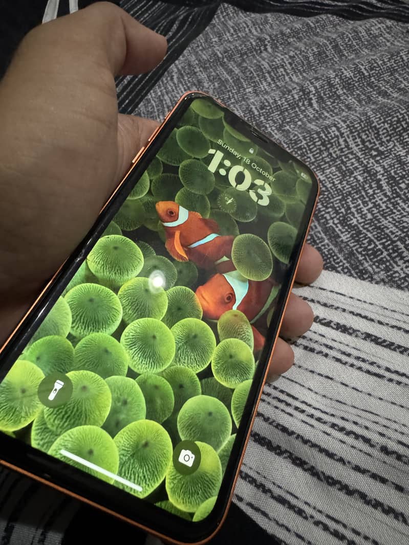 Apple iPhone XR 2