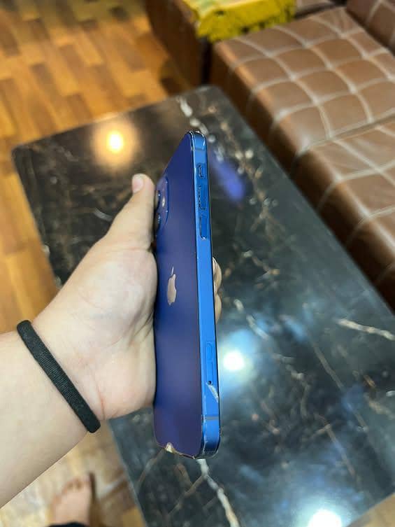 Apple iPhone 12 1