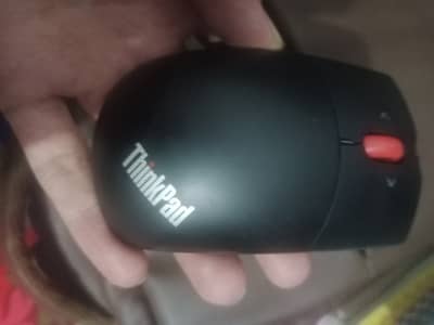 Mouse