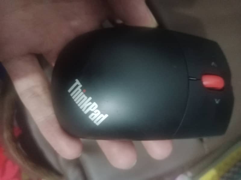 Mouse 0