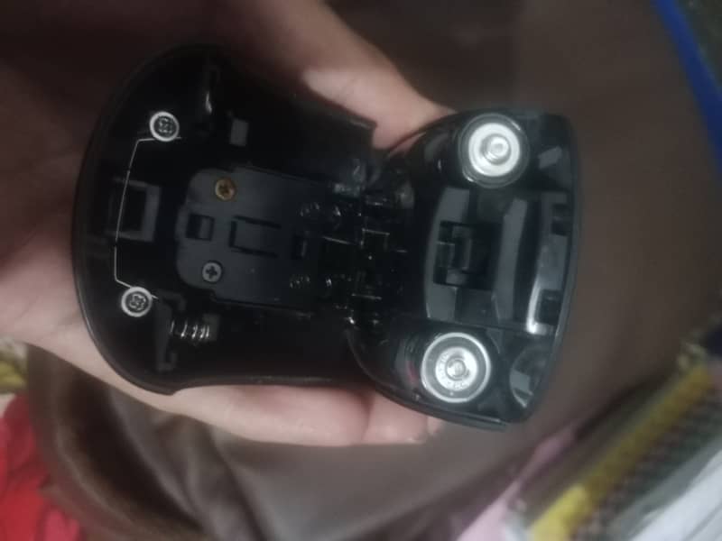 Mouse 2