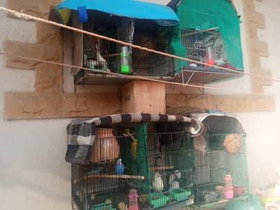 cages sale 4 cages