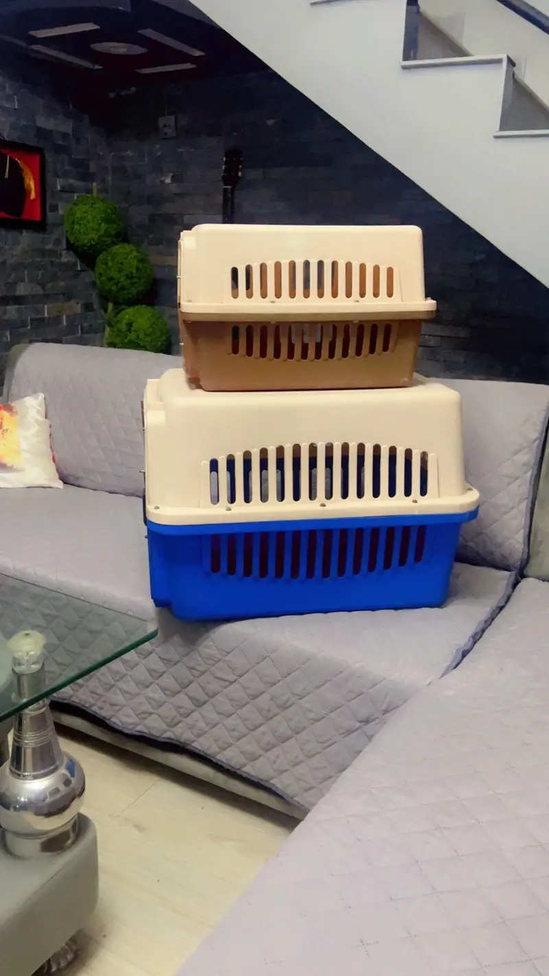 Cat cage or jet box