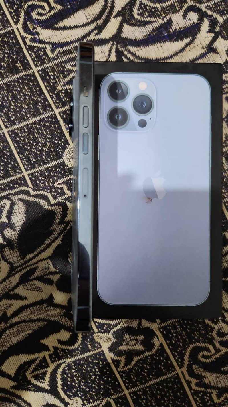 Apple iPhone 13 Pro Max 1