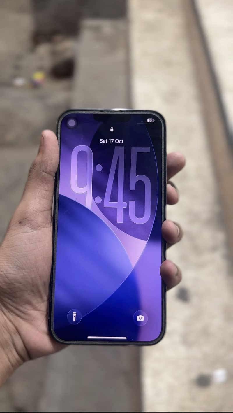 Apple iPhone 13 Pro Max 1