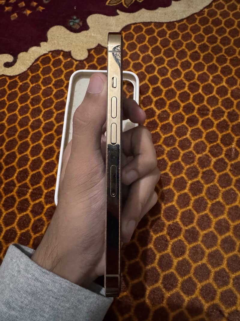iPhone 13 Pro Jv 1