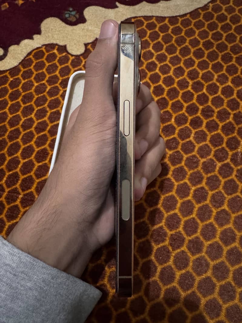 iPhone 13 Pro Jv 4
