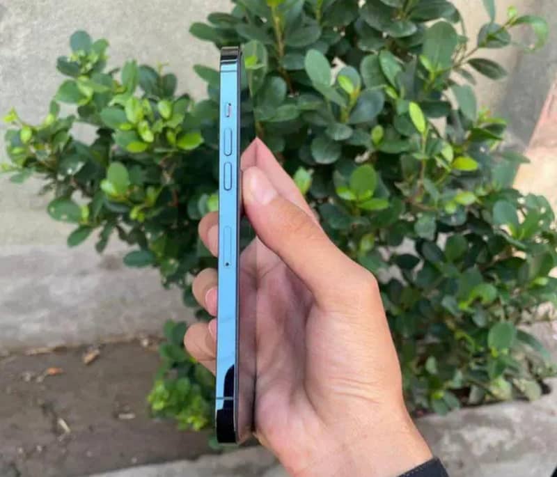 Apple iPhone 12 Pro Max 0
