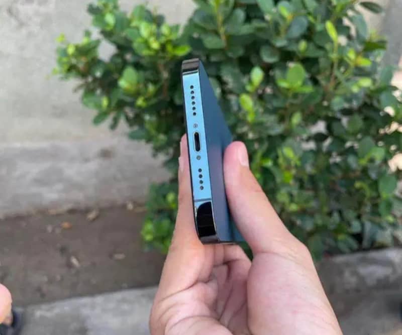 Apple iPhone 12 Pro Max 1
