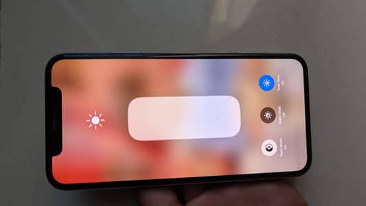 Apple iPhone X