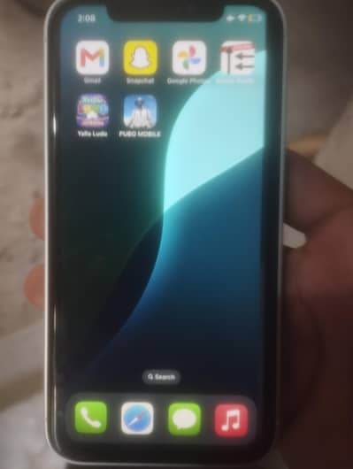 Apple iPhone XR converted 17 proax