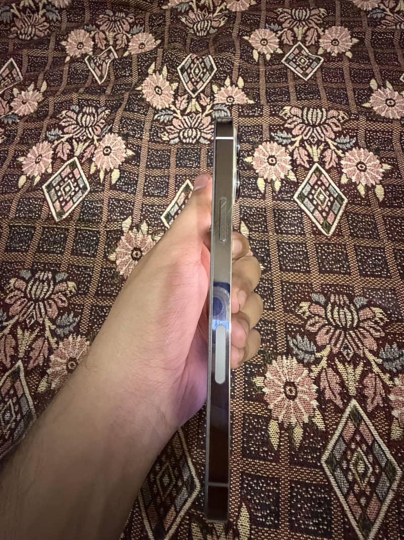 Apple iPhone 13 Pro Max 5