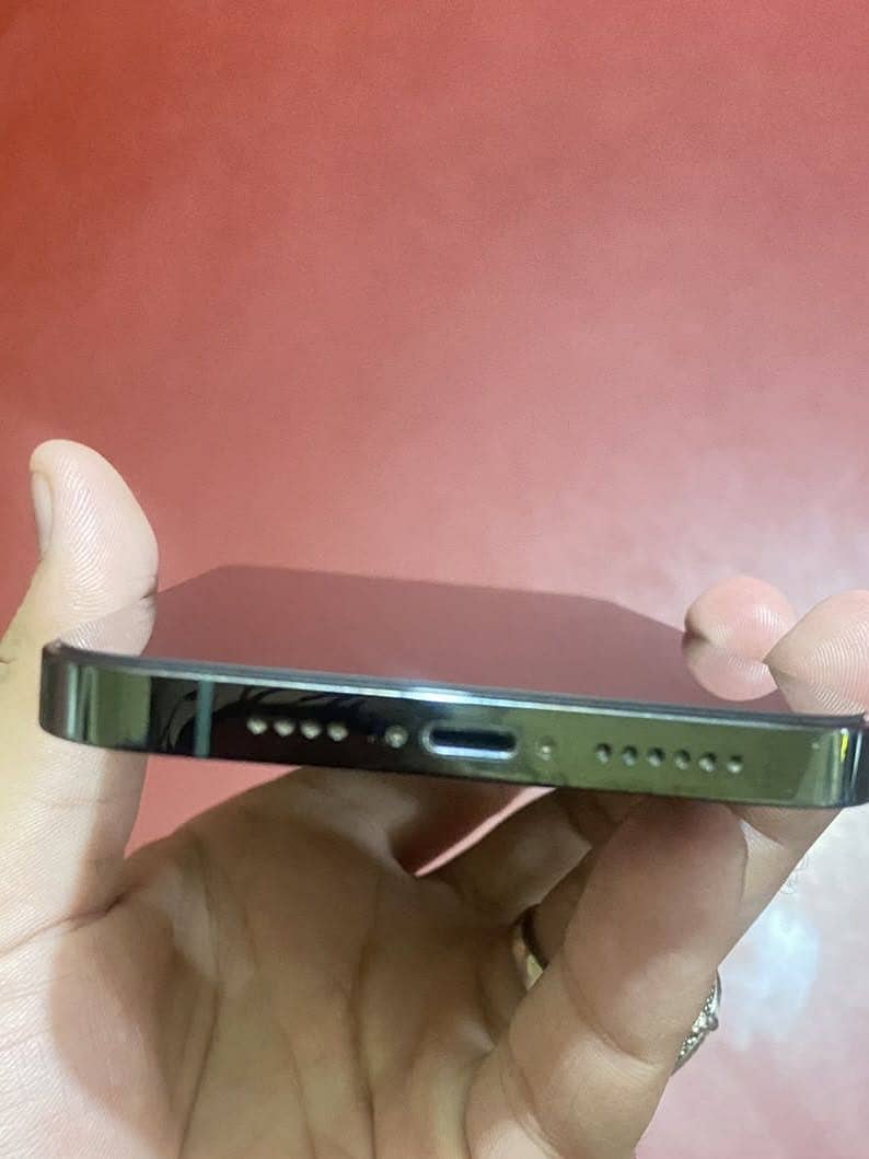 Apple iPhone 13 Pro Max 0