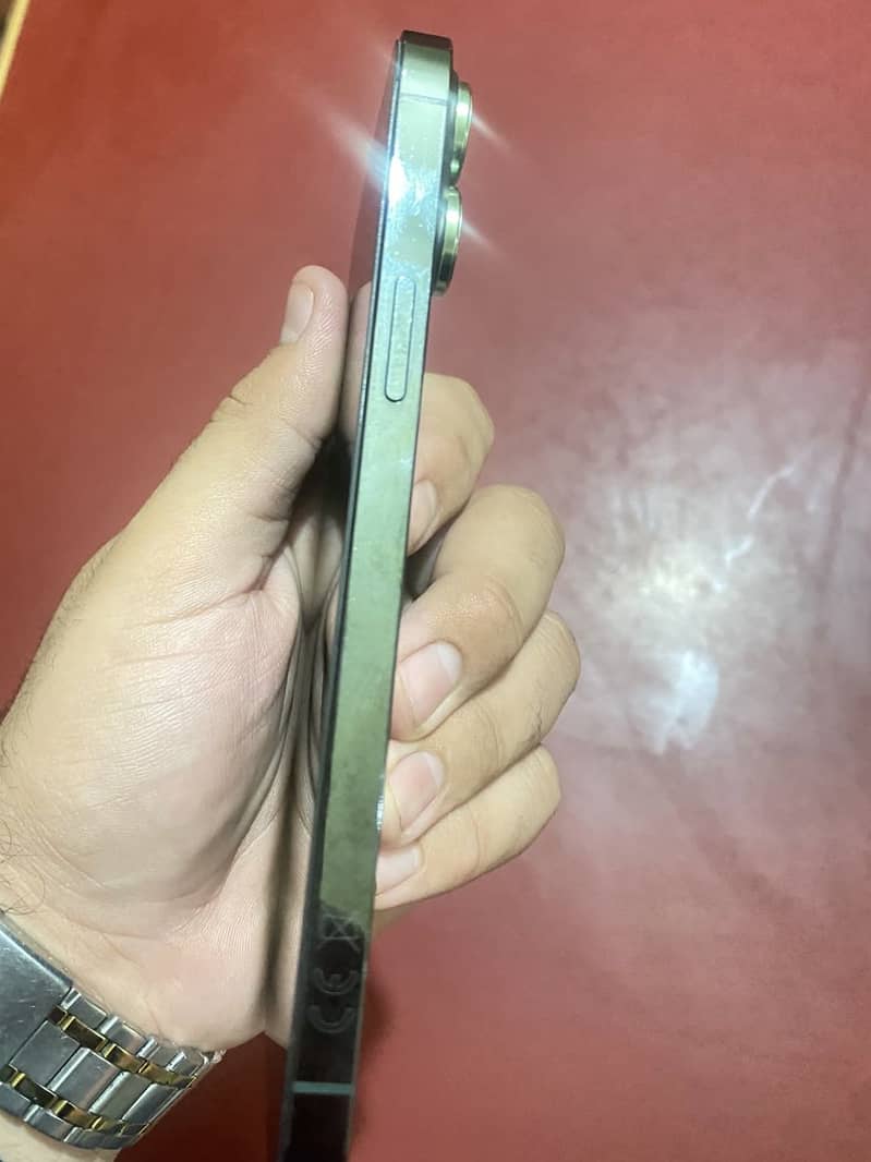 Apple iPhone 13 Pro Max 1