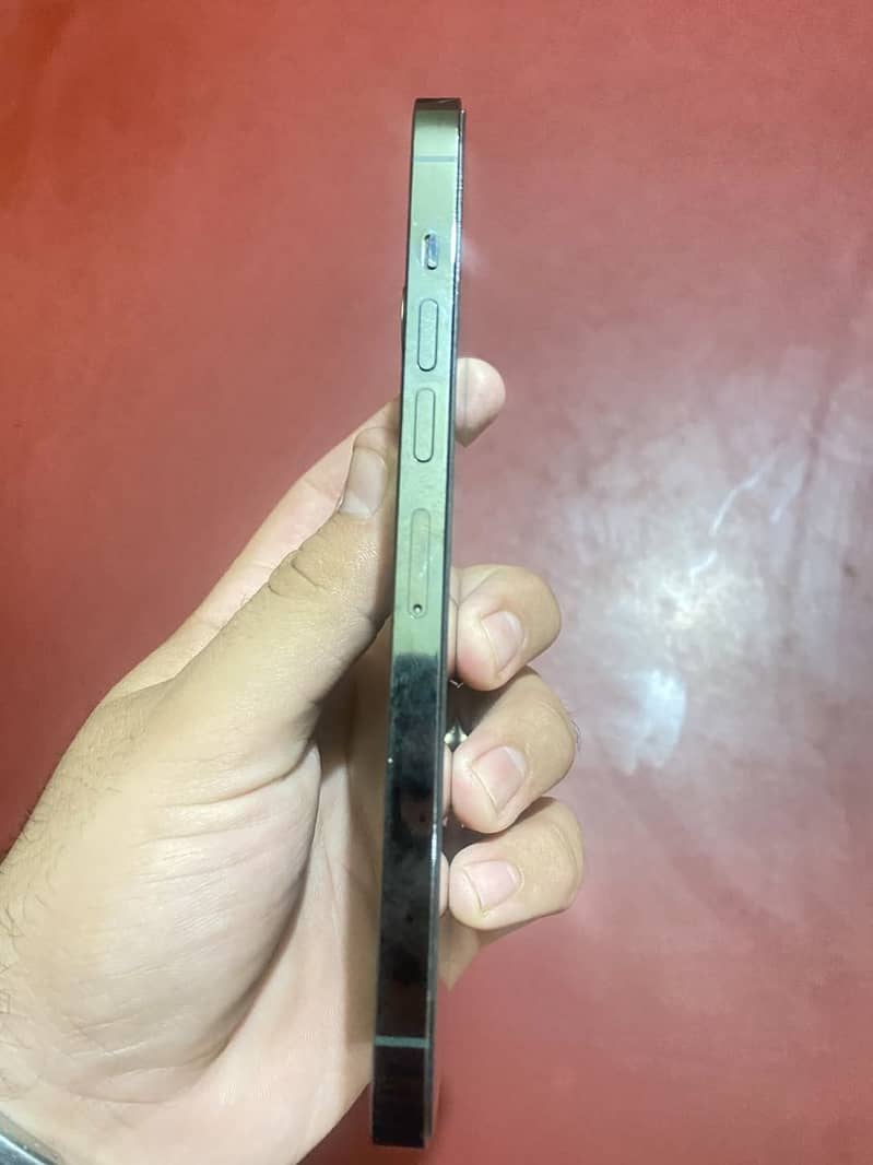 Apple iPhone 13 Pro Max 2