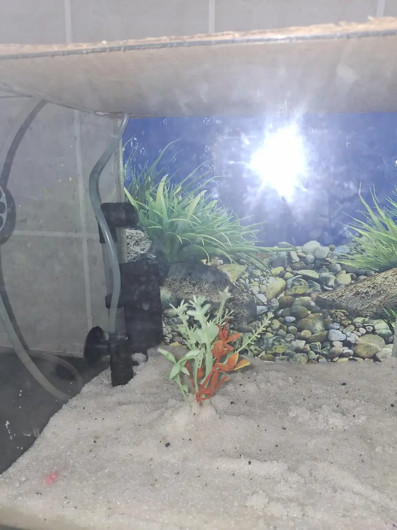 fish tank for sale