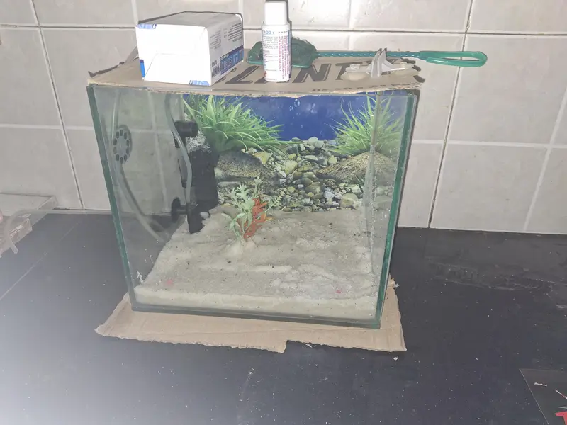 fish tank for sale — photo 3