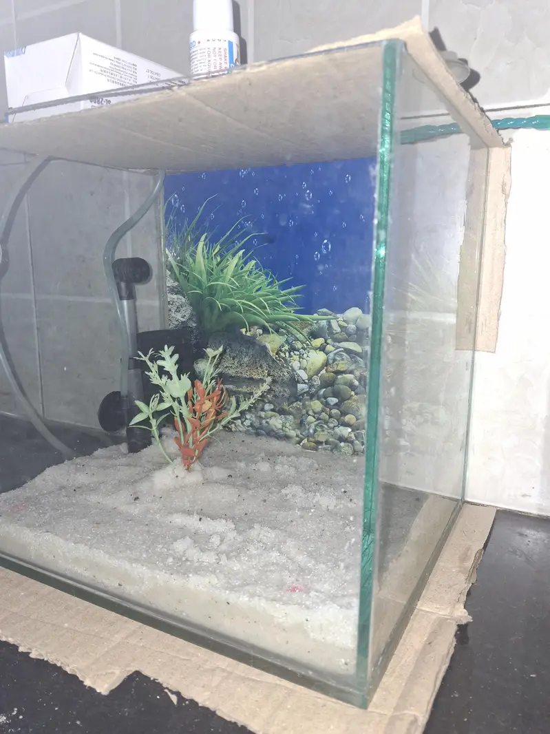 fish tank for sale — photo 5