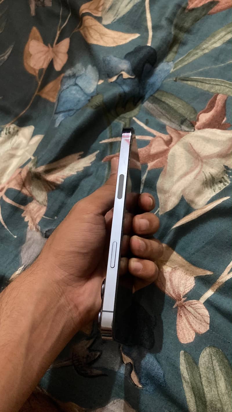 Apple iPhone 13 Pro Max 4
