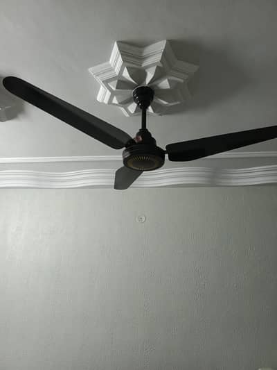 black Delta fan