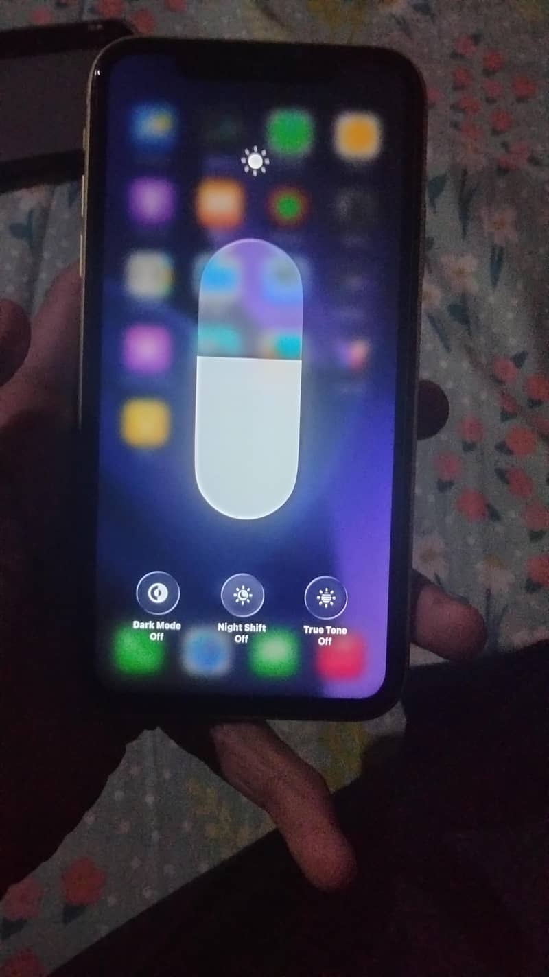 Apple iPhone 11 1