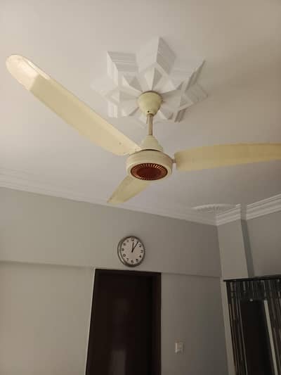 Delta fan