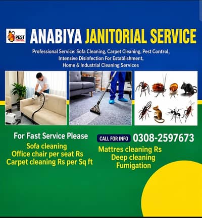 Deep Cleaning Sofa/Carpet Cleaning/Mattres Cleaning in all karachi