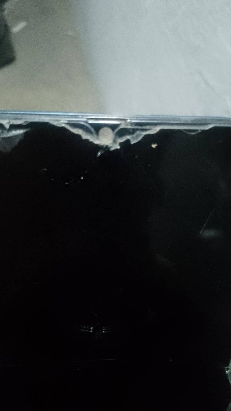 Samsung Mobile A30 4