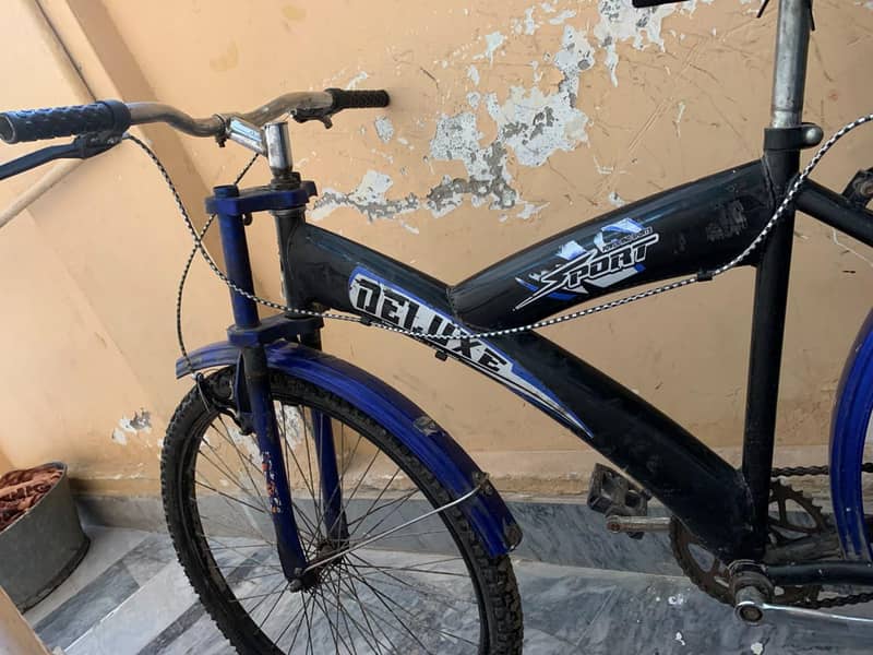 DELUXE BYCYCLE 1