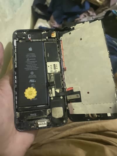Apple iPhone 7