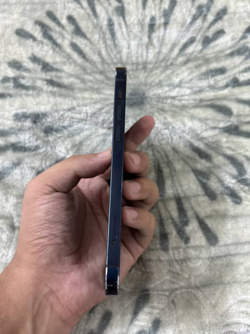 Apple iPhone 12 1