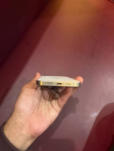 Apple iPhone 12 Pro