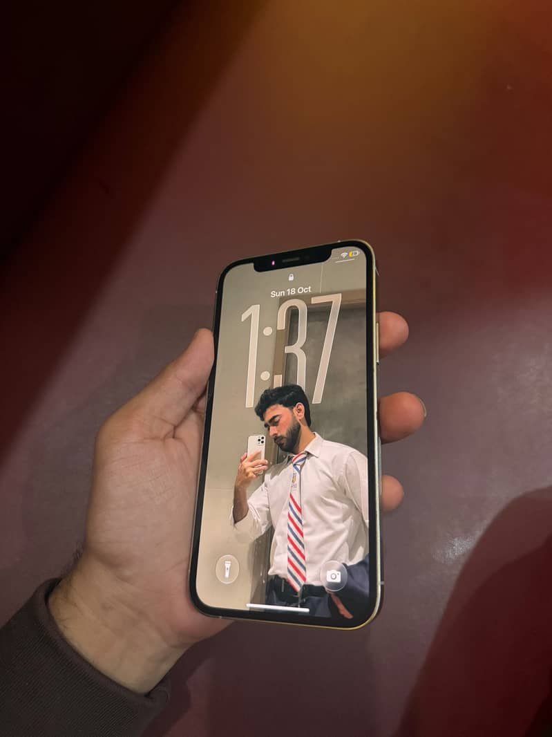 Apple iPhone 12 Pro 4