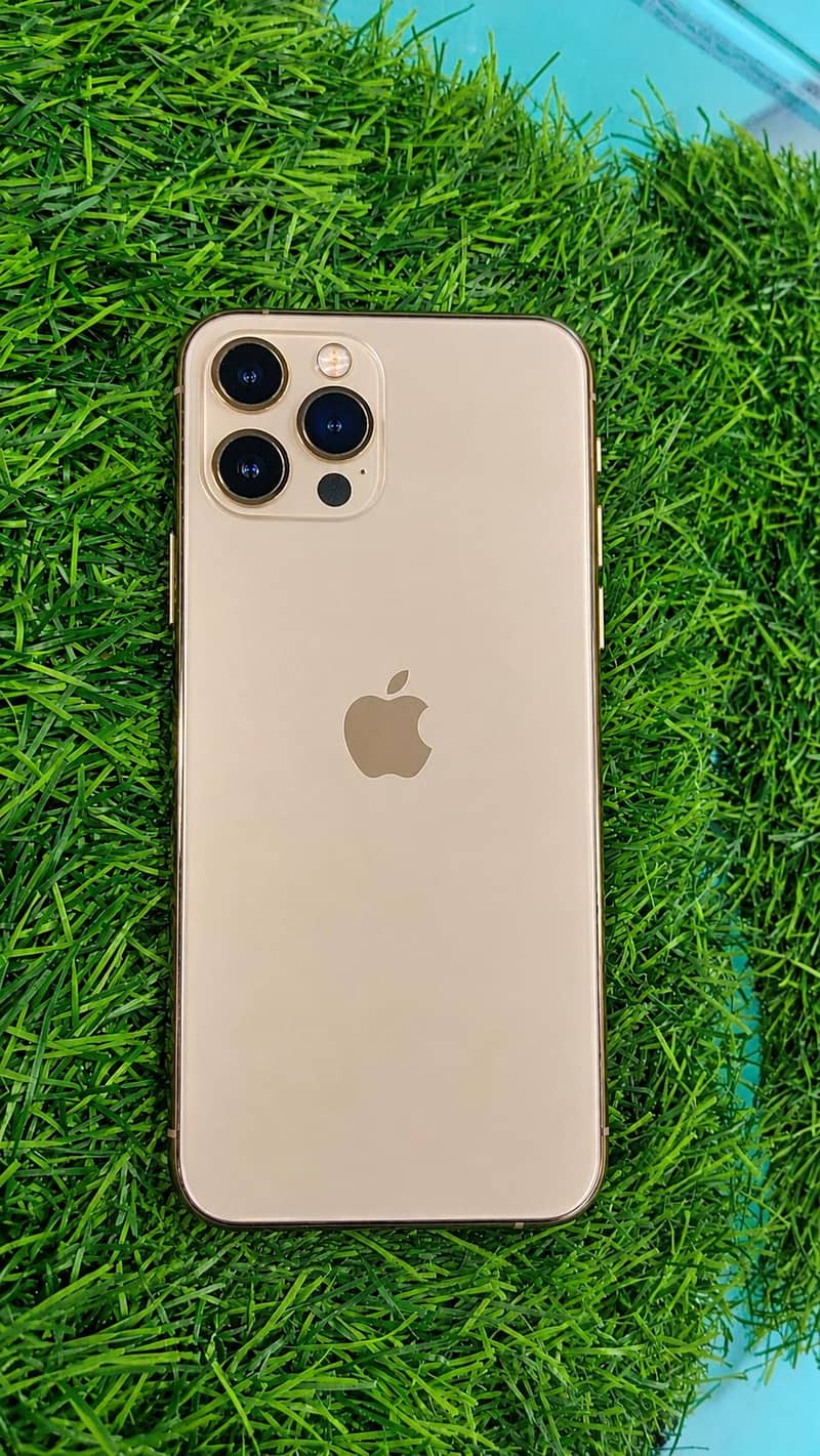 Apple iPhone 13 Pro Max 5
